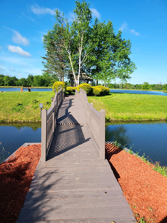 A Visit to Camp Freedom GCU